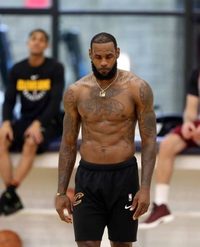 运营逻辑的 运营逻辑的